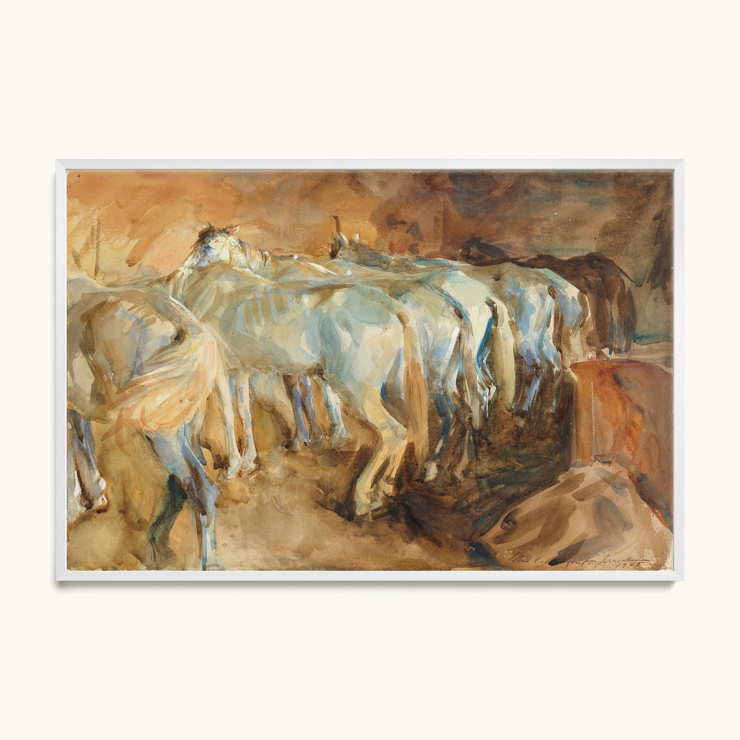 Bus Horses in Jerusalem