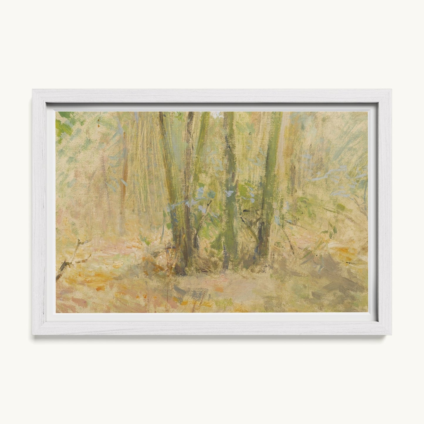 Arbres dans la forêt