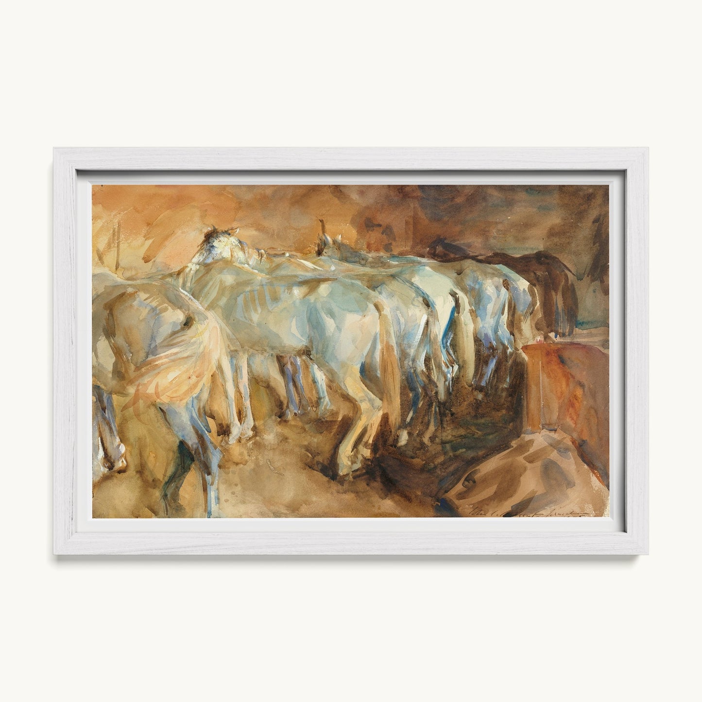 Bus Horses in Jerusalem