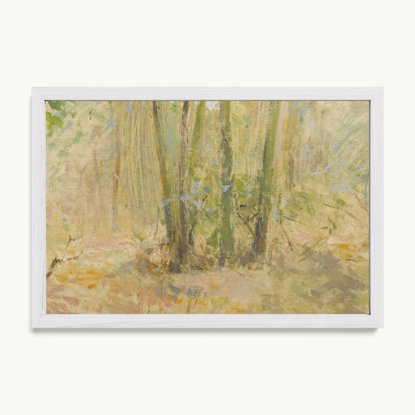 Arbres dans la forêt