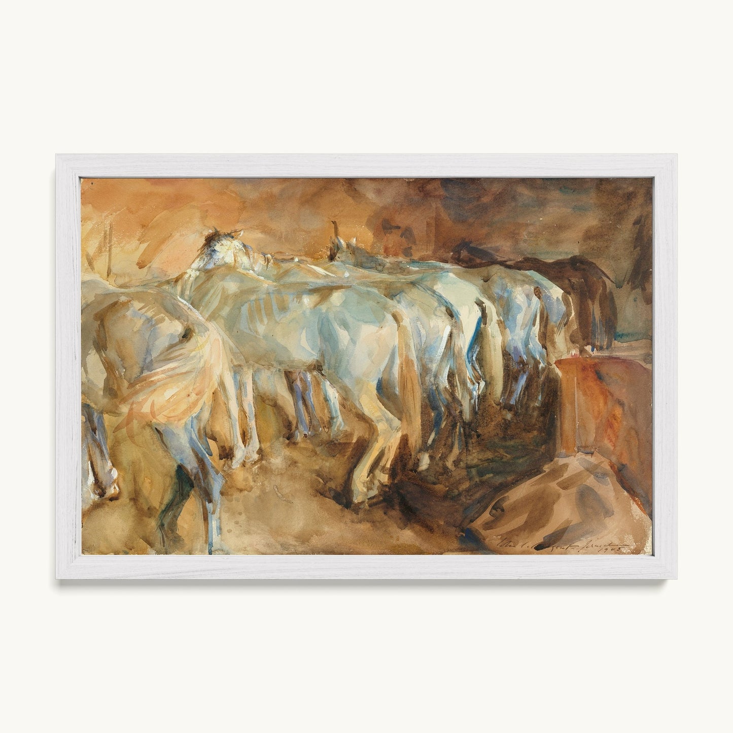 Bus Horses in Jerusalem