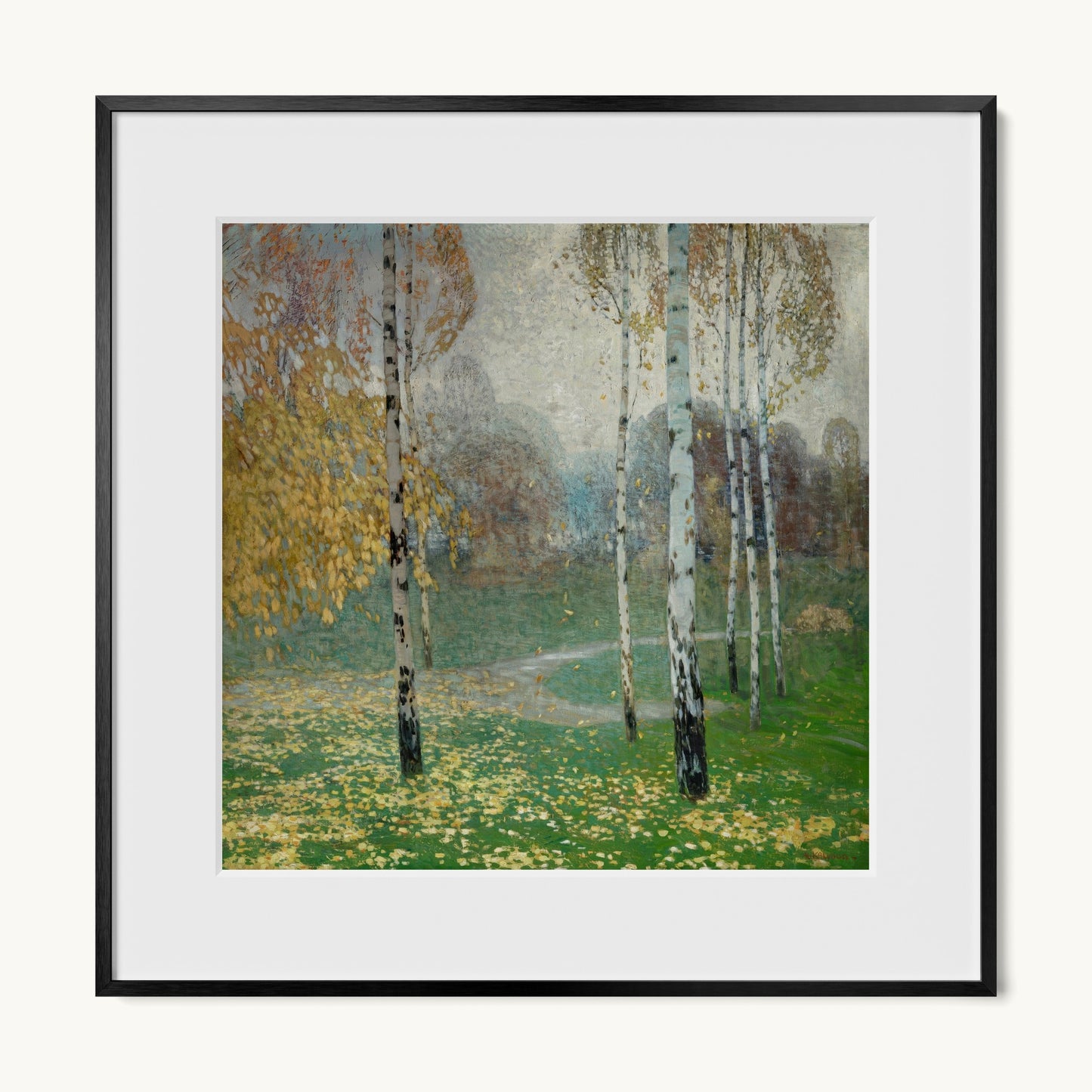 Birch Trees