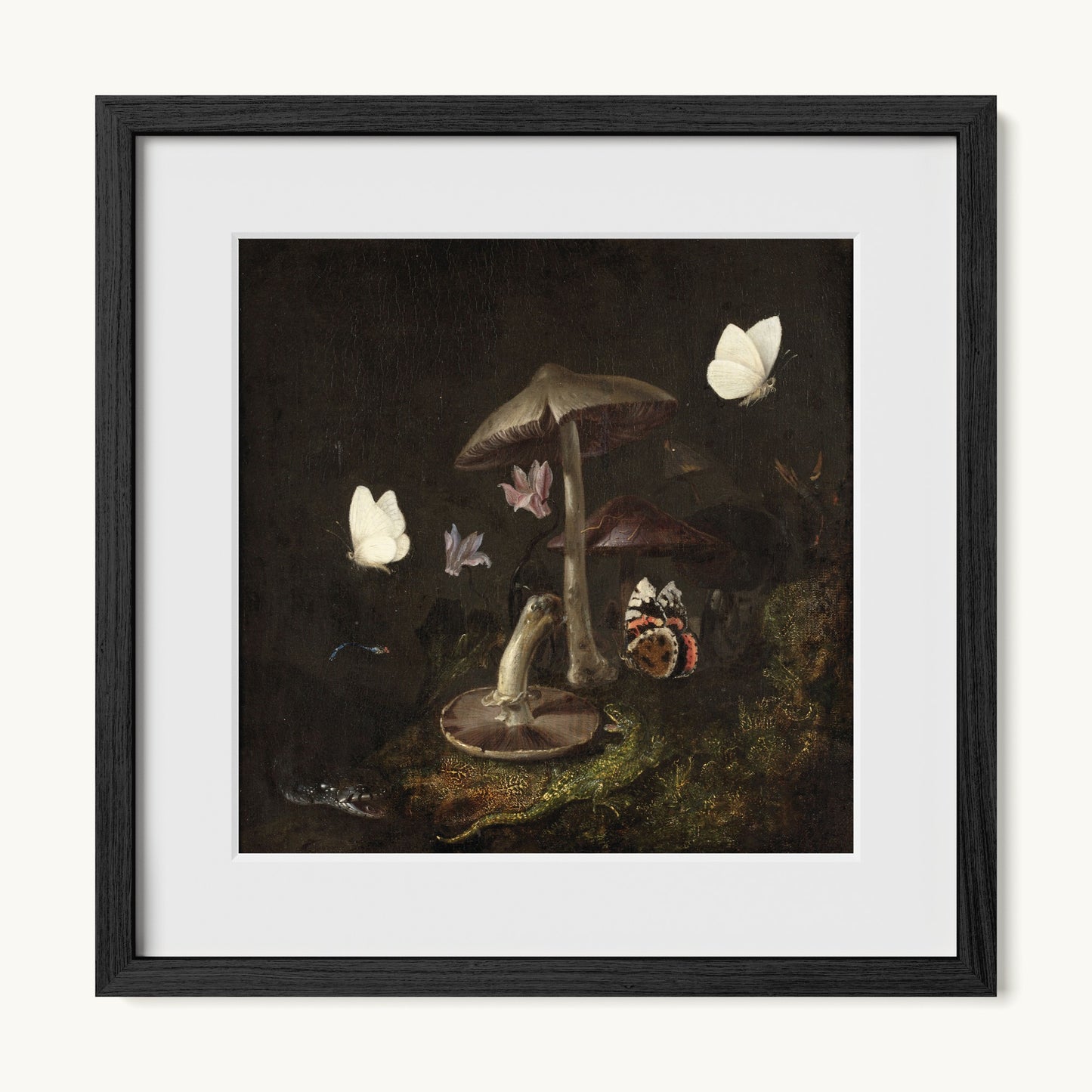 A Sottobosco with Mushrooms, Butterflies, a Dragonfly, a Snake and a Lizard