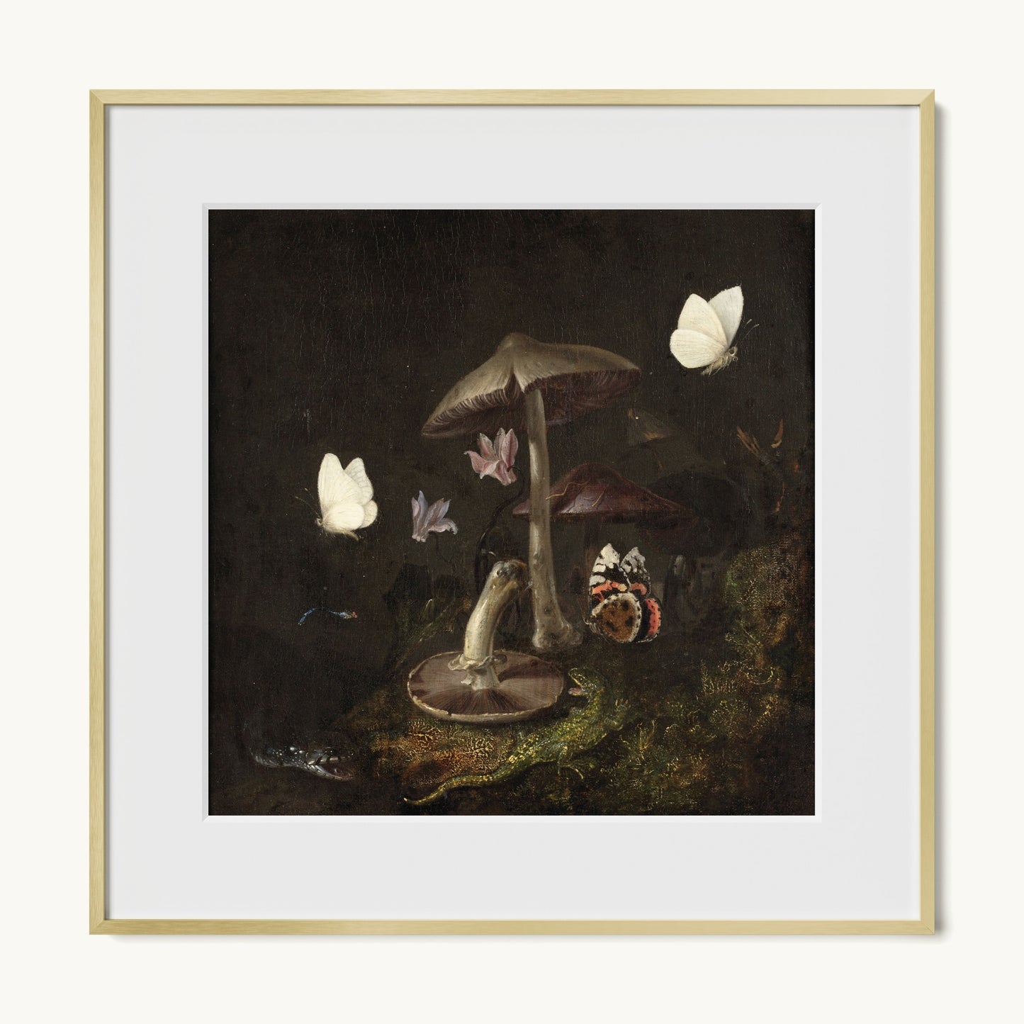 A Sottobosco with Mushrooms, Butterflies, a Dragonfly, a Snake and a Lizard
