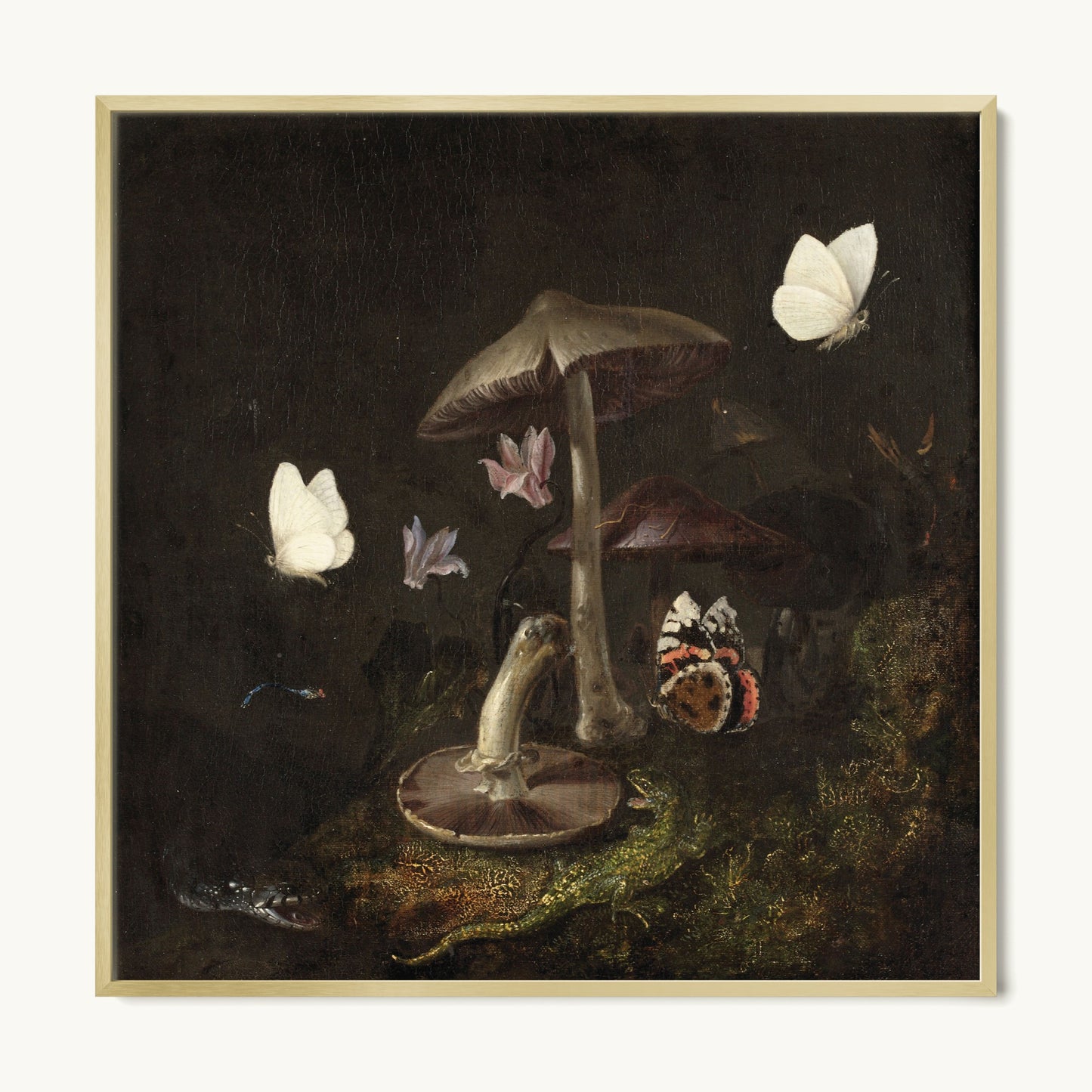 A Sottobosco with Mushrooms, Butterflies, a Dragonfly, a Snake and a Lizard