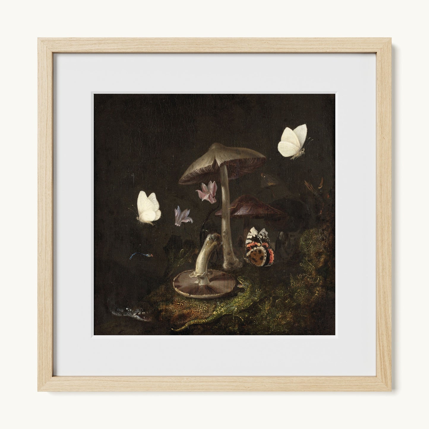 A Sottobosco with Mushrooms, Butterflies, a Dragonfly, a Snake and a Lizard