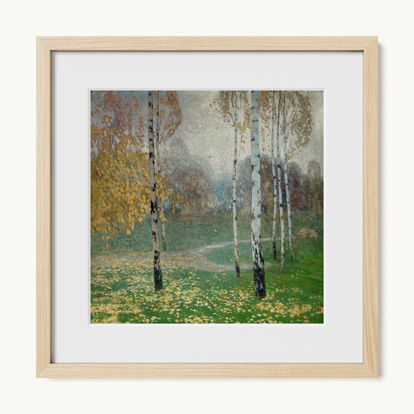 Birch Trees