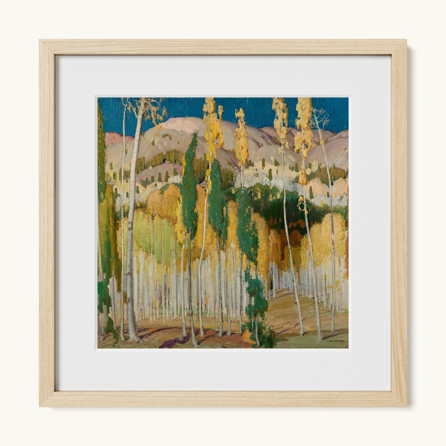 Aspen Trees at Twining