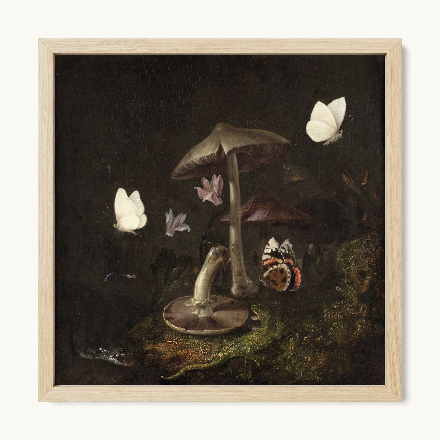 A Sottobosco with Mushrooms, Butterflies, a Dragonfly, a Snake and a Lizard