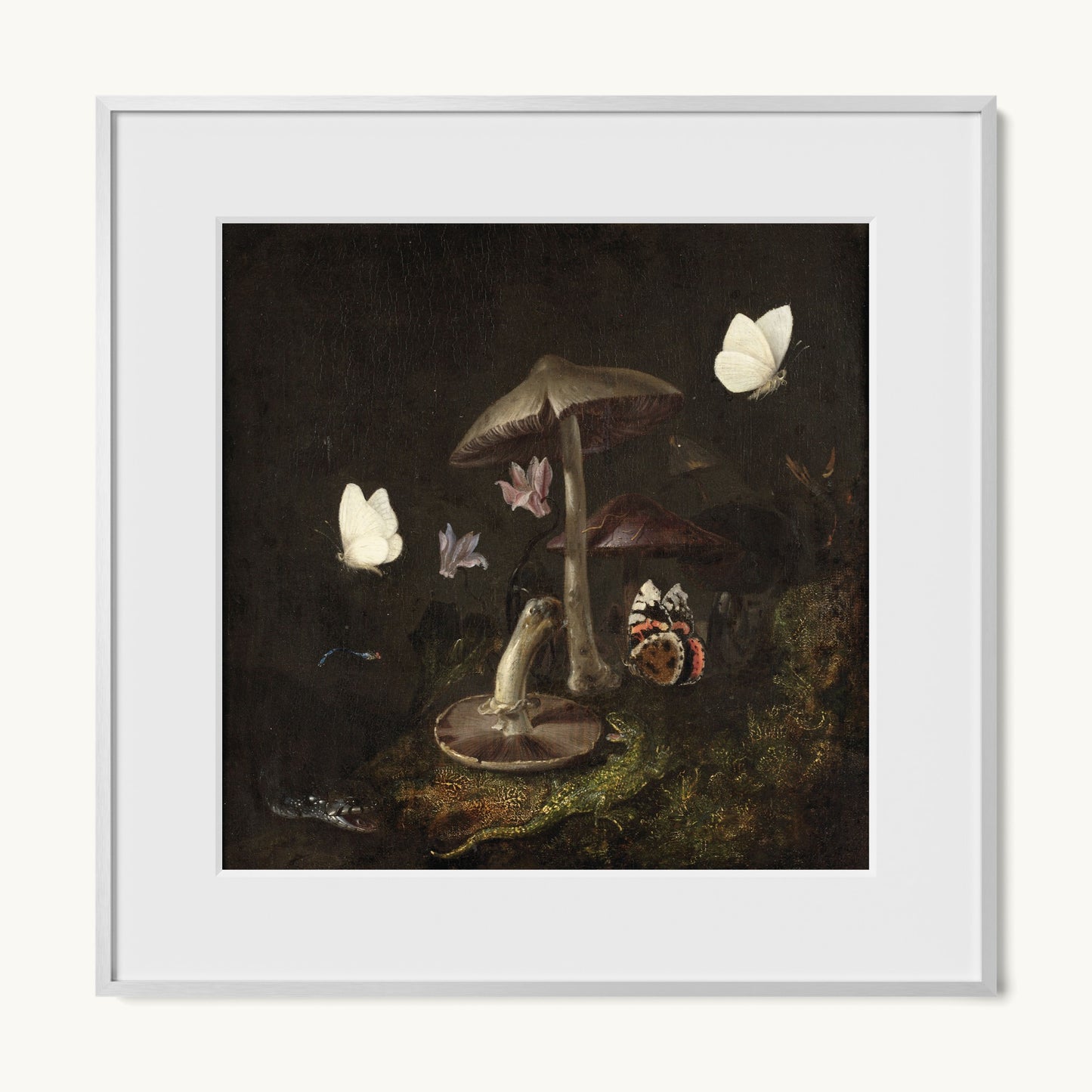 A Sottobosco with Mushrooms, Butterflies, a Dragonfly, a Snake and a Lizard