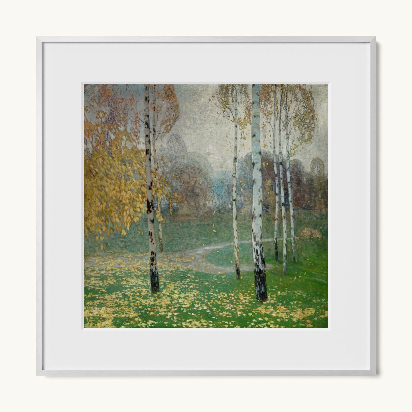Birch Trees