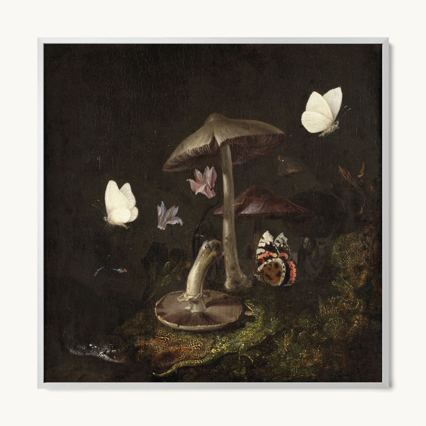 A Sottobosco with Mushrooms, Butterflies, a Dragonfly, a Snake and a Lizard