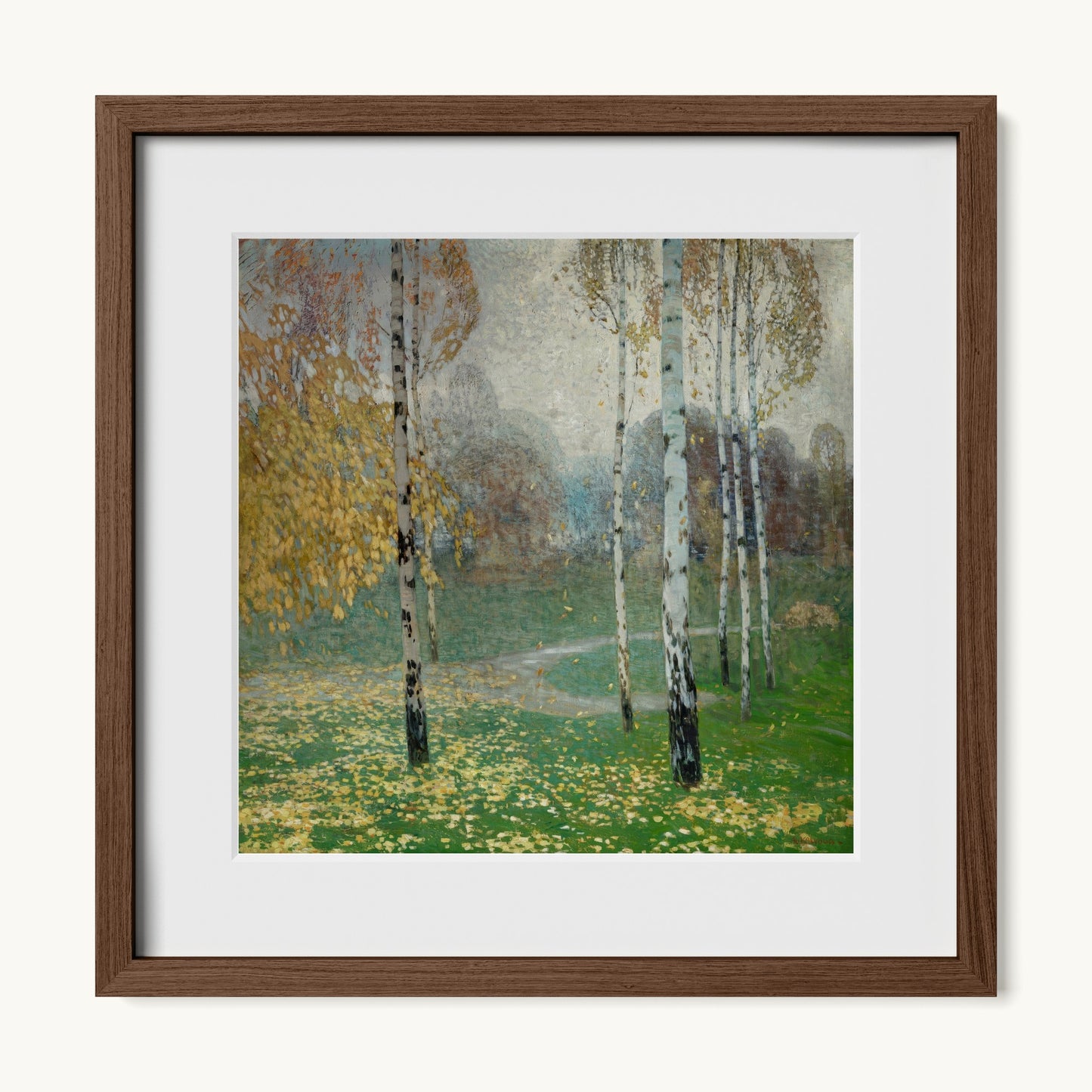 Birch Trees