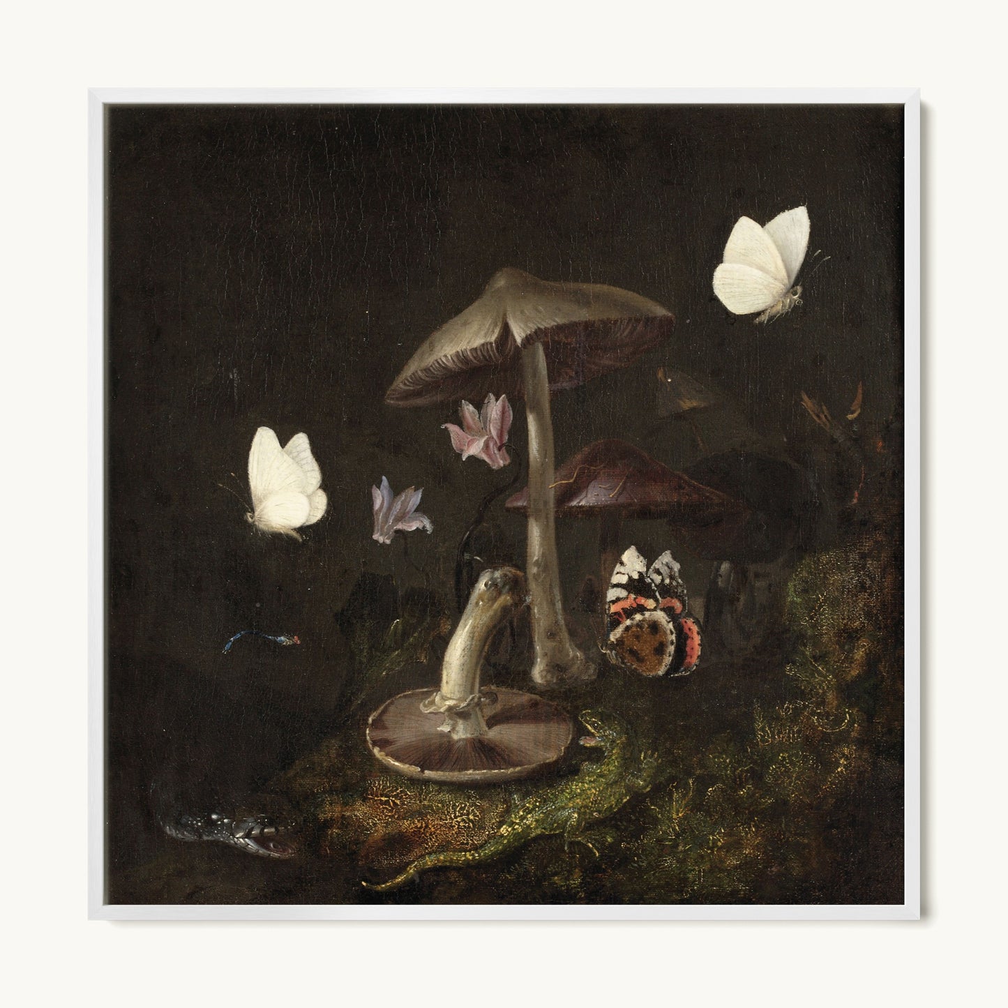 A Sottobosco with Mushrooms, Butterflies, a Dragonfly, a Snake and a Lizard