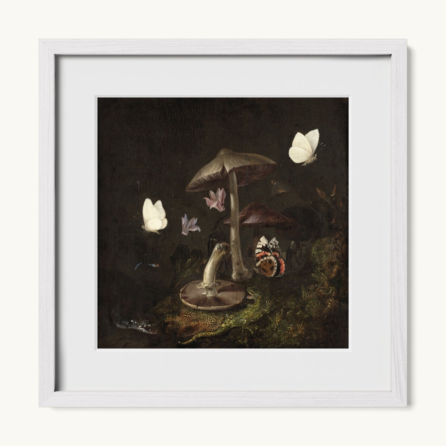 A Sottobosco with Mushrooms, Butterflies, a Dragonfly, a Snake and a Lizard