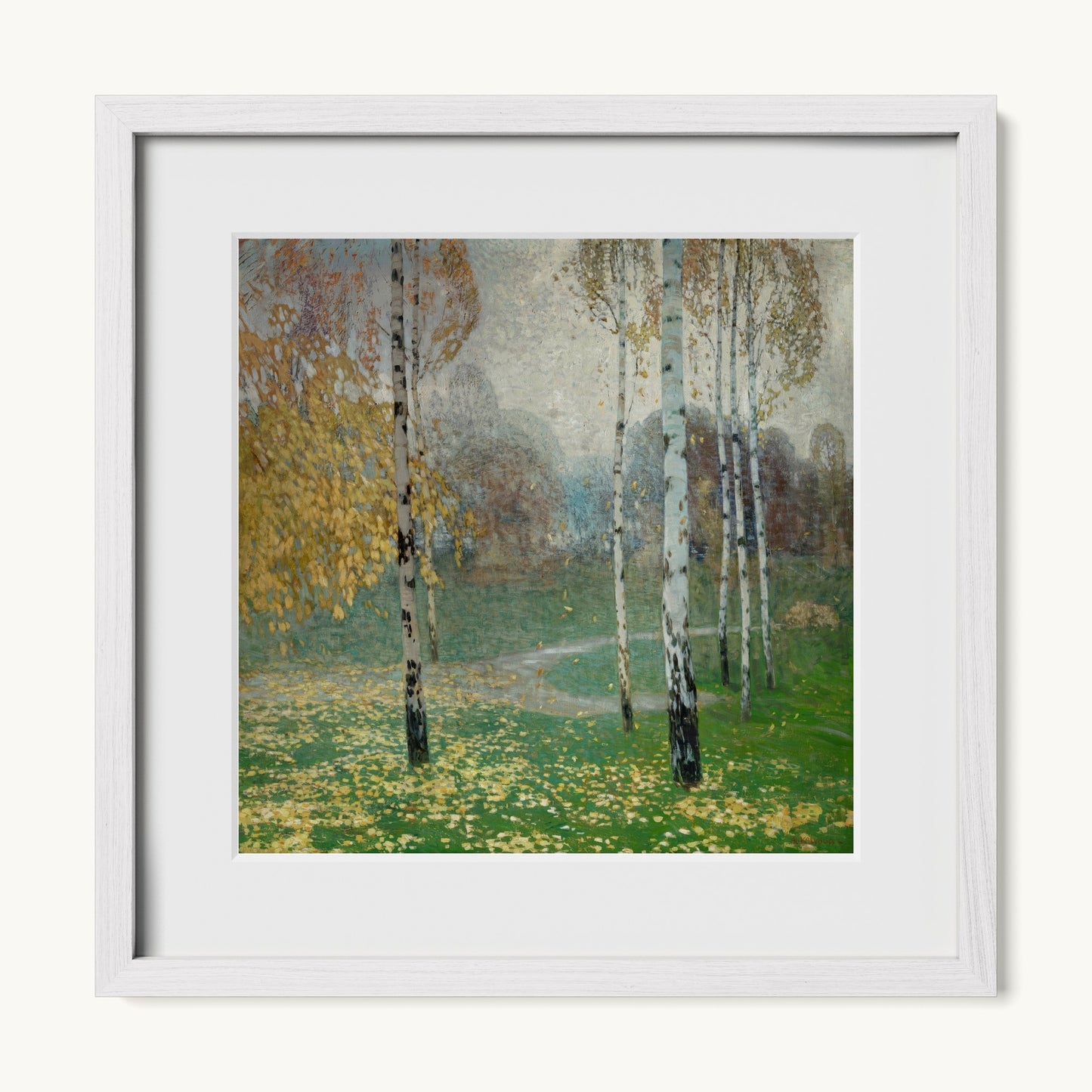 Birch Trees