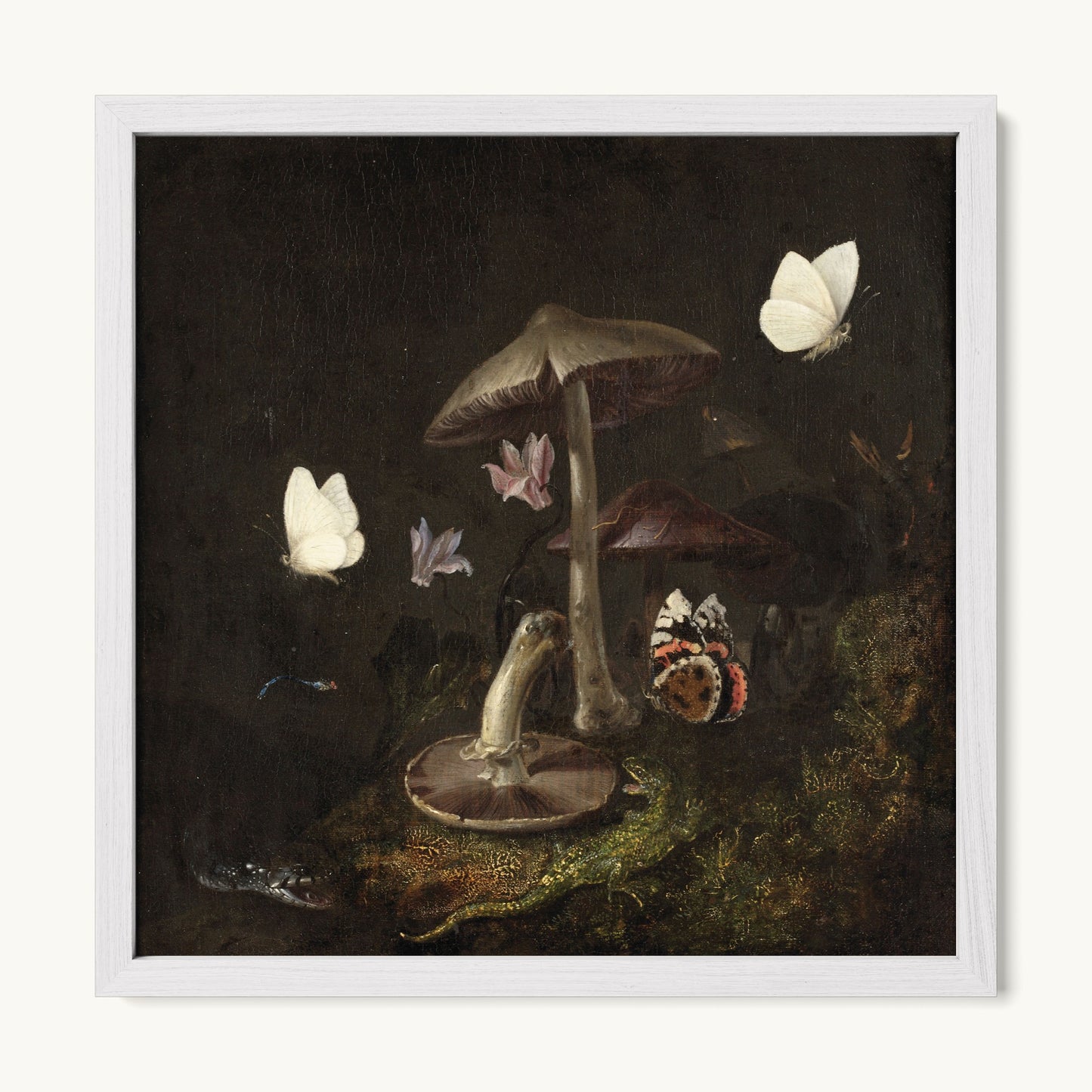 A Sottobosco with Mushrooms, Butterflies, a Dragonfly, a Snake and a Lizard