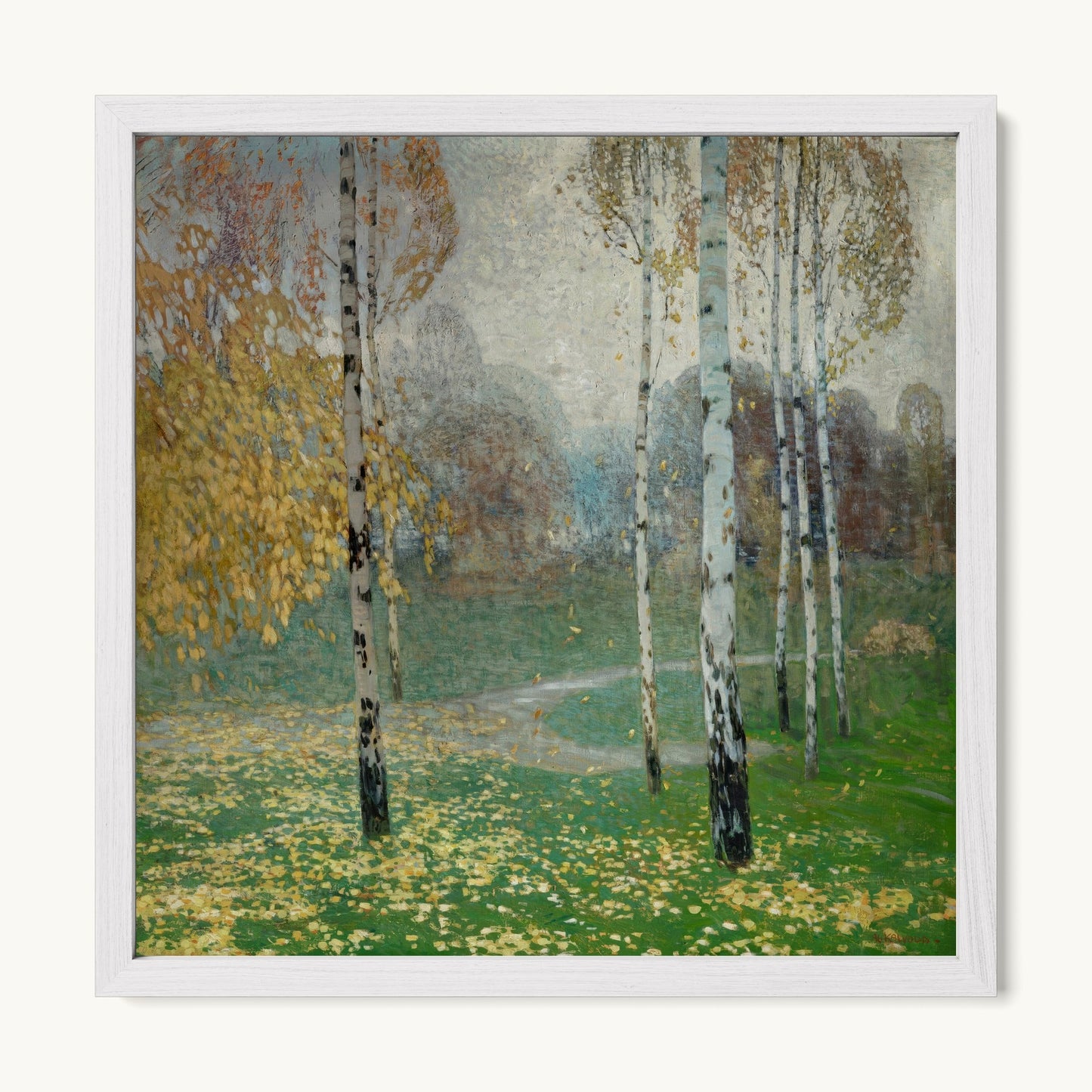 Birch Trees