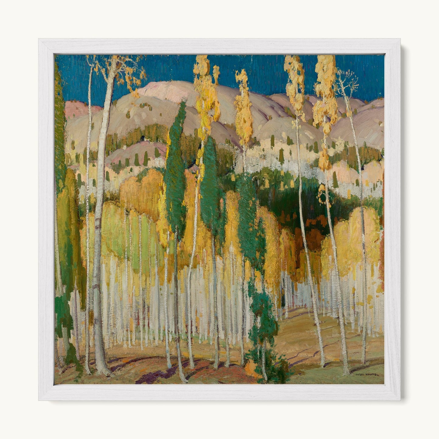 Aspen Trees at Twining
