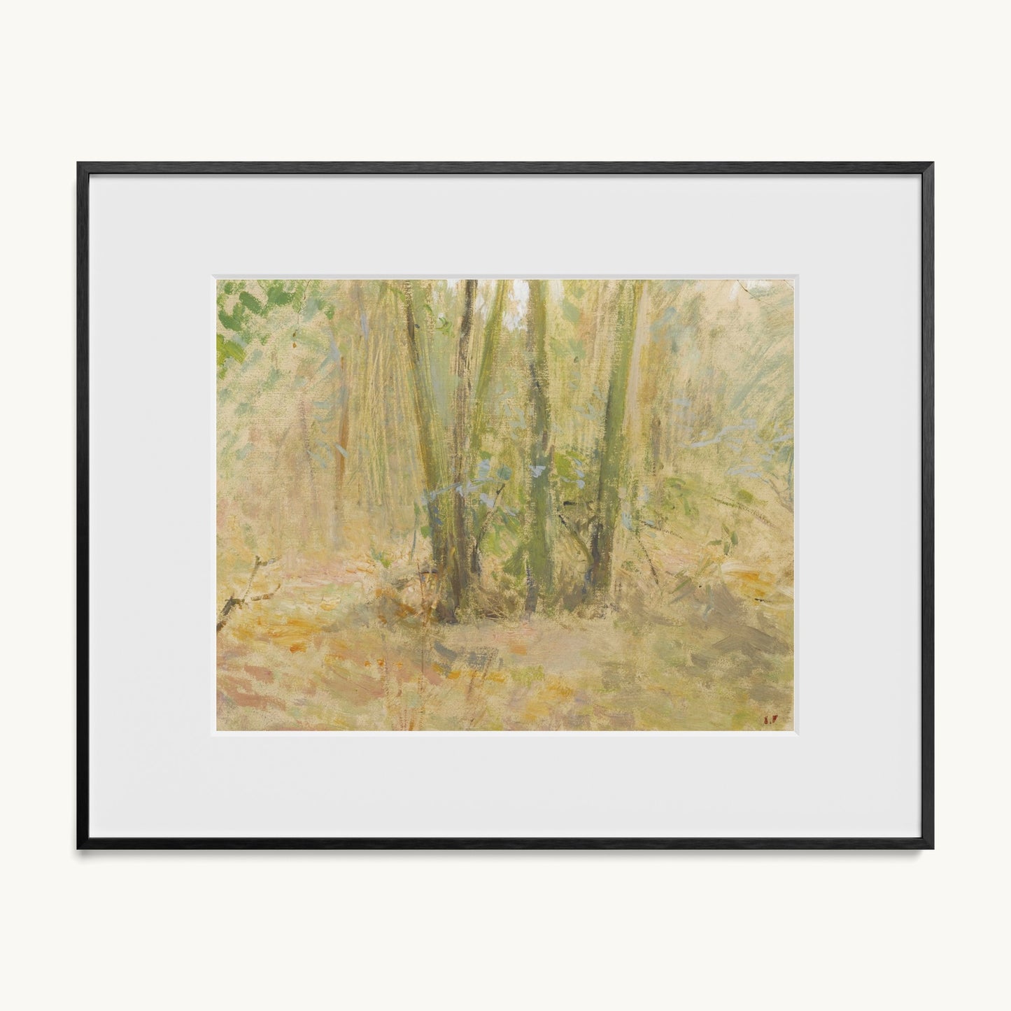 Arbres dans la forêt