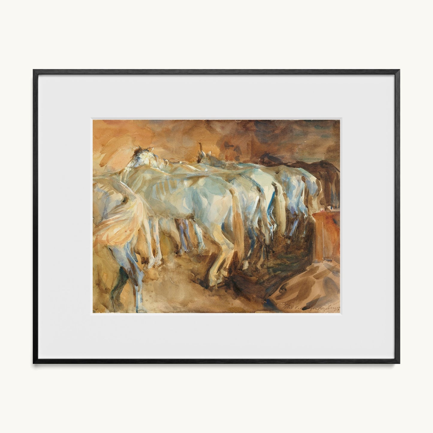 Bus Horses in Jerusalem