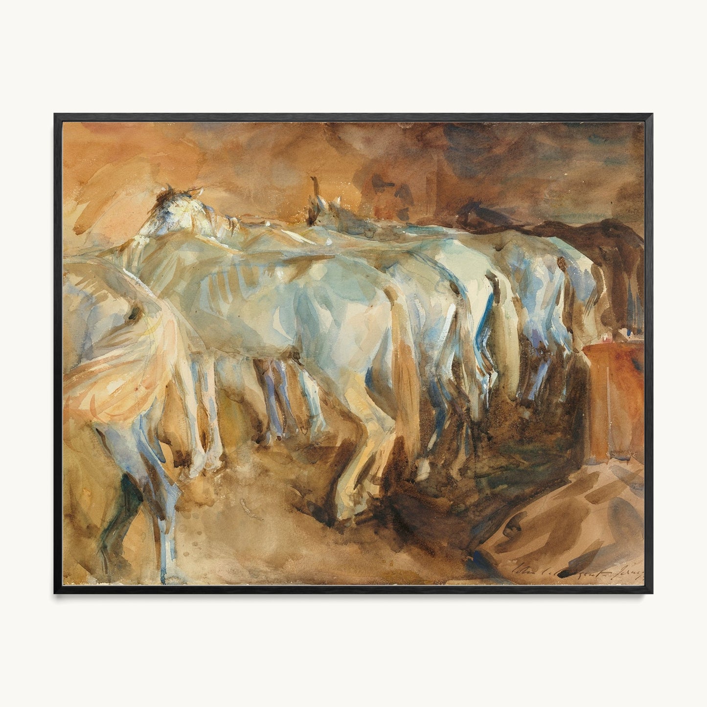Bus Horses in Jerusalem