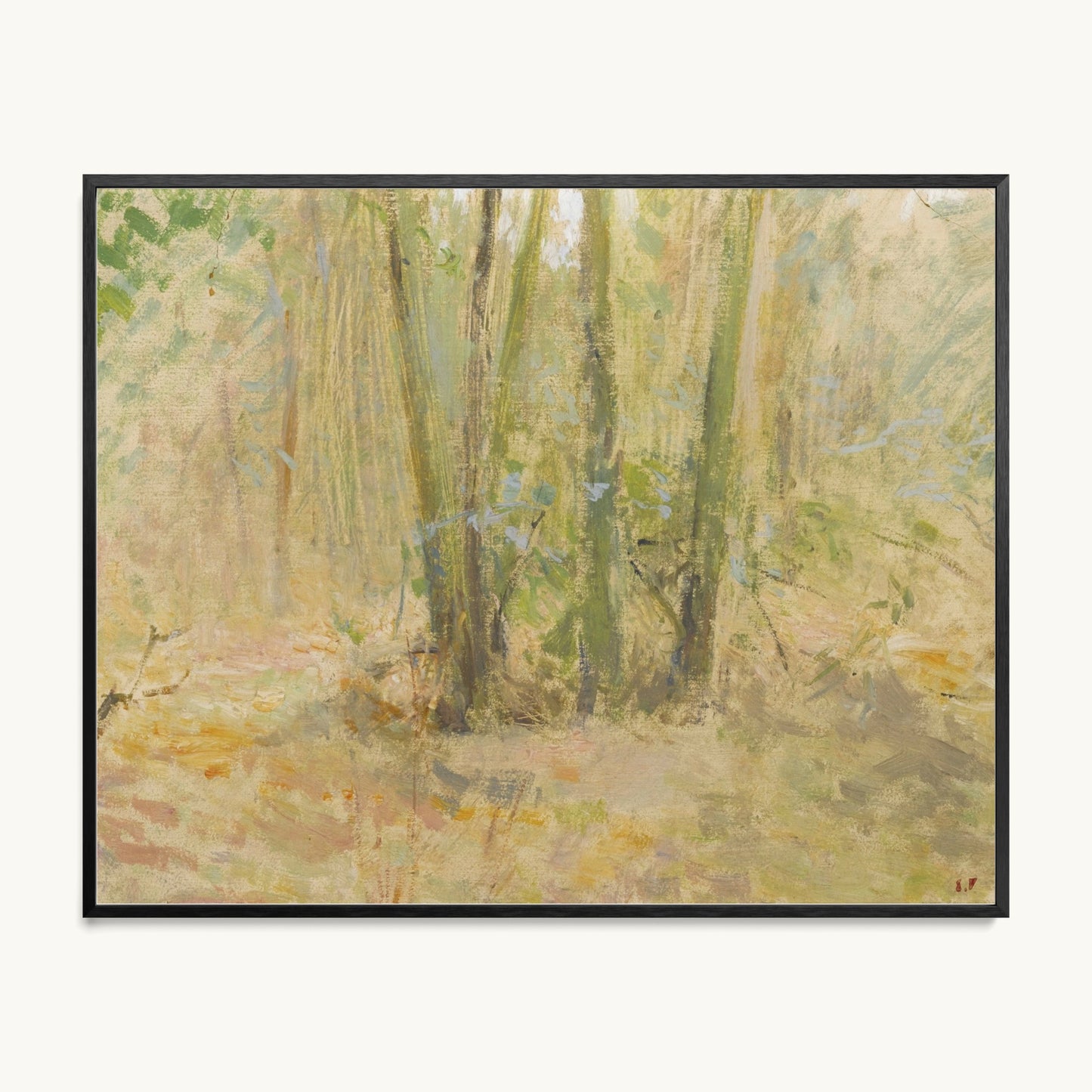 Arbres dans la forêt