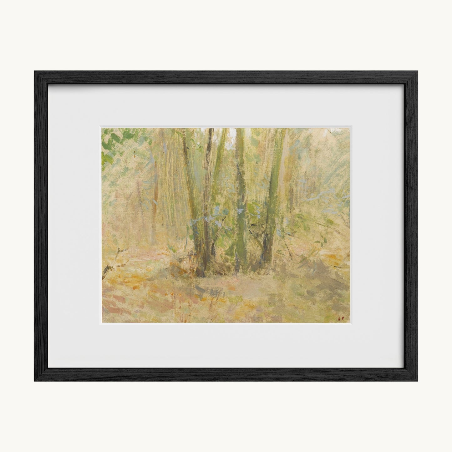Arbres dans la forêt