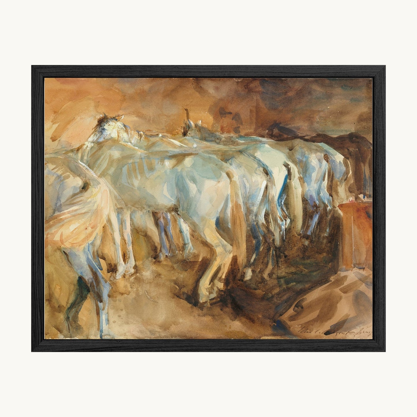 Bus Horses in Jerusalem