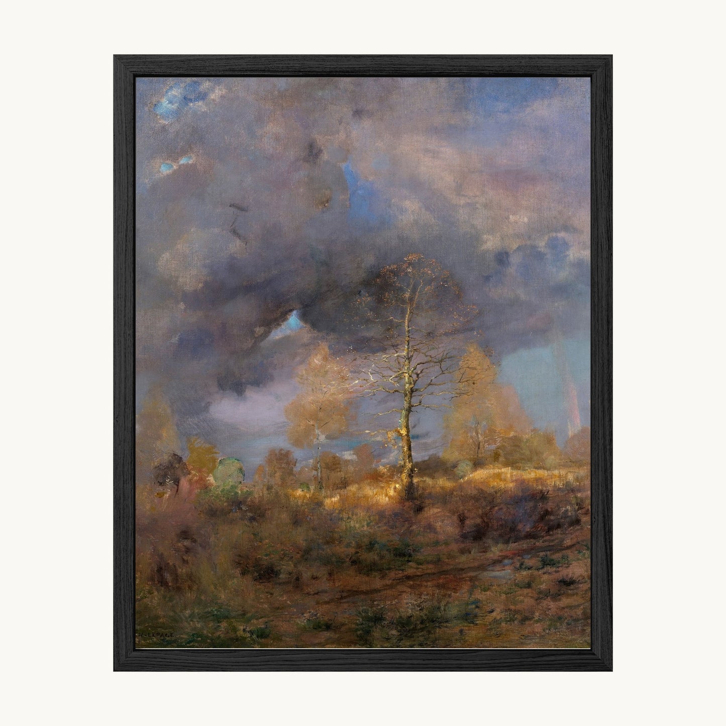 After the Storm