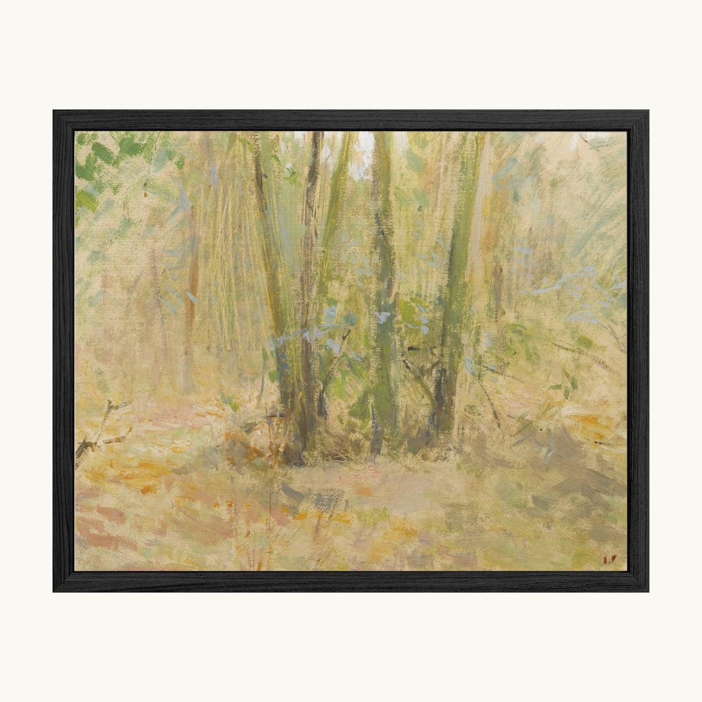 Arbres dans la forêt