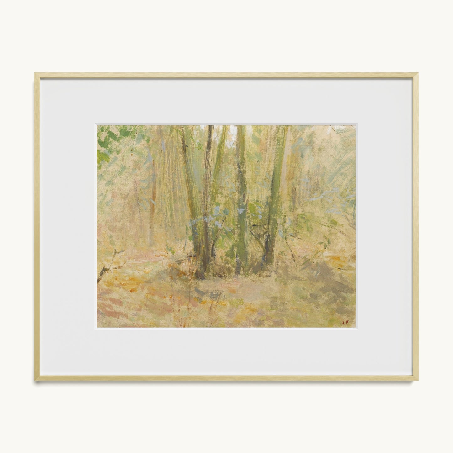 Arbres dans la forêt