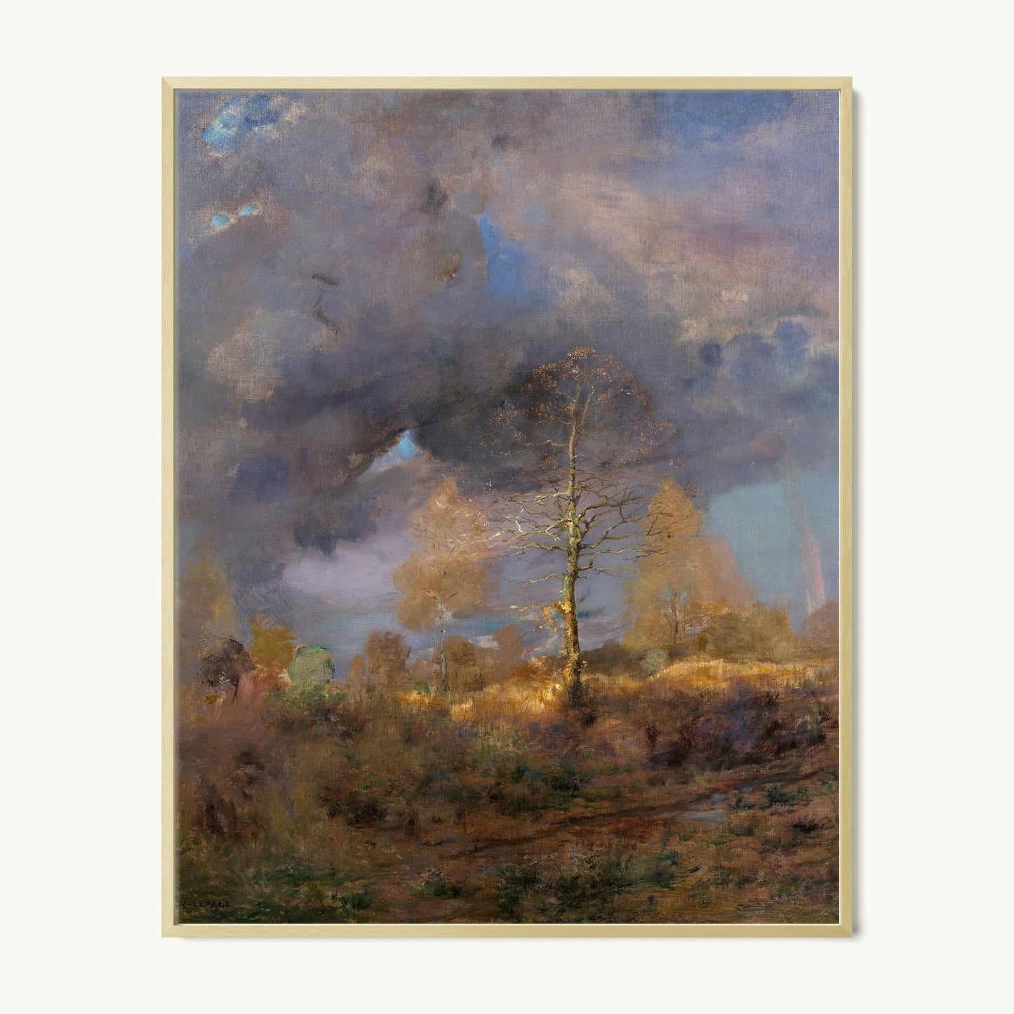 After the Storm