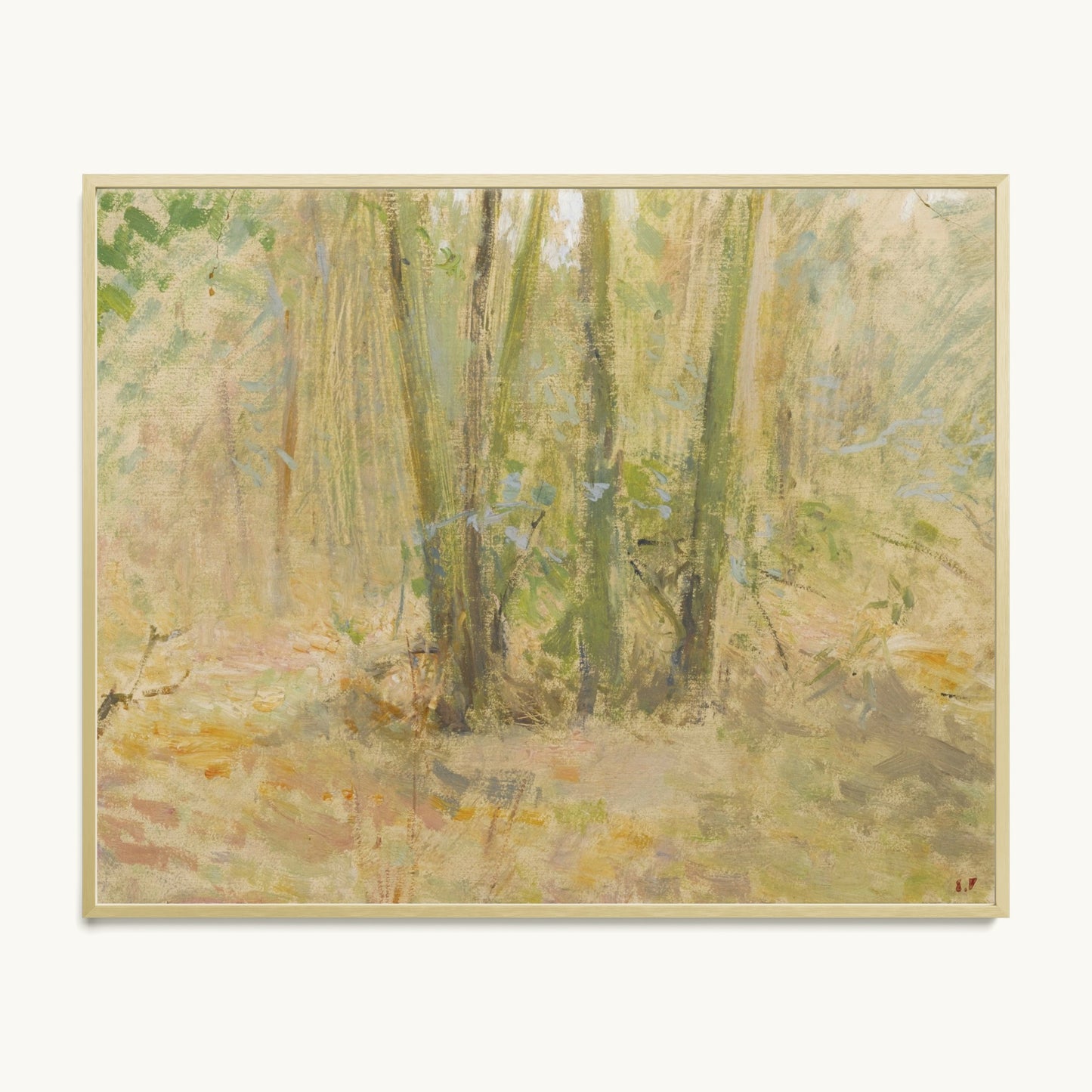 Arbres dans la forêt