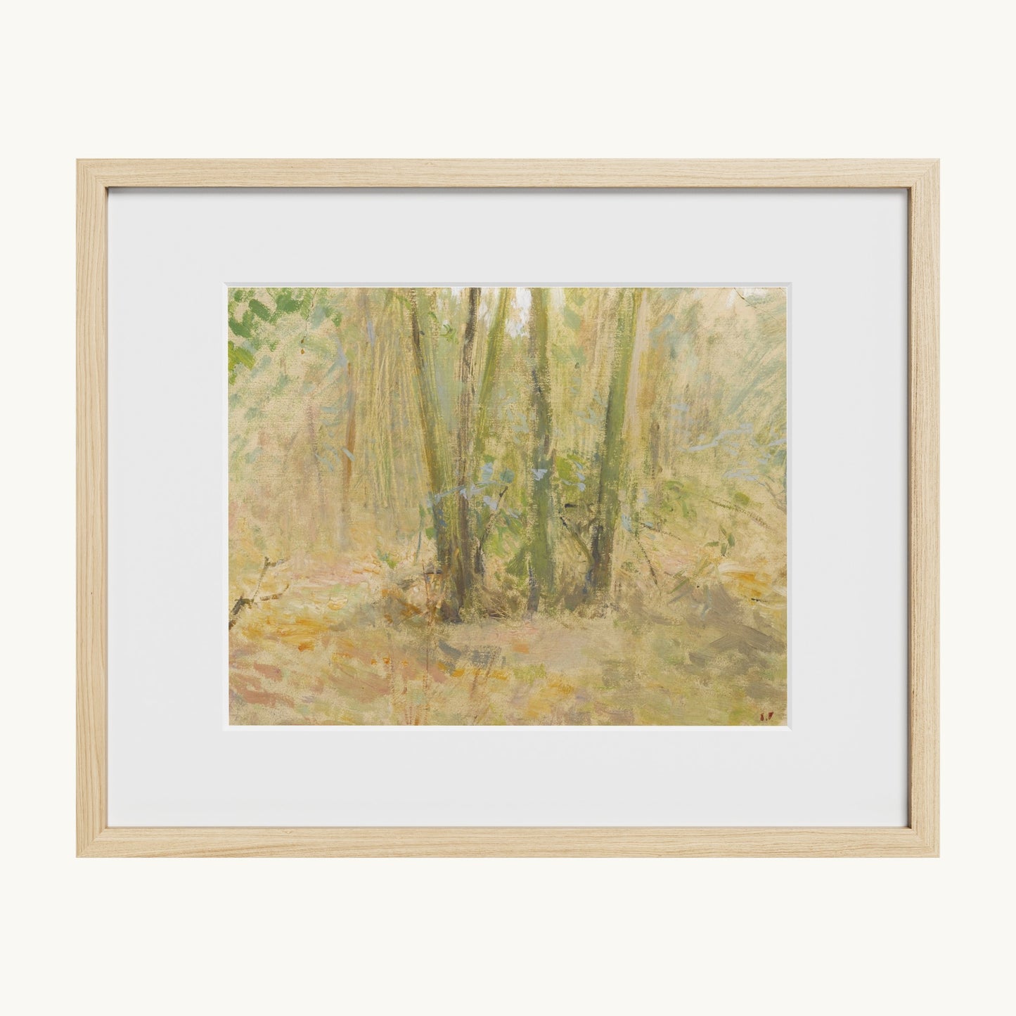 Arbres dans la forêt