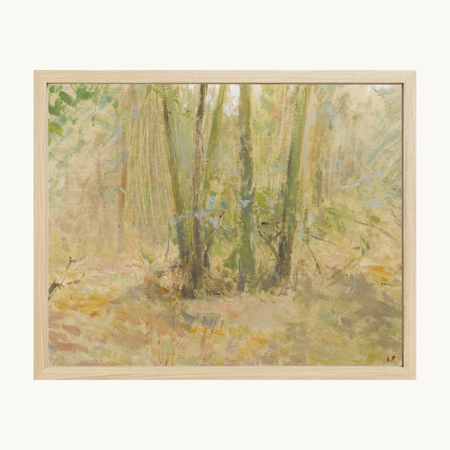 Arbres dans la forêt