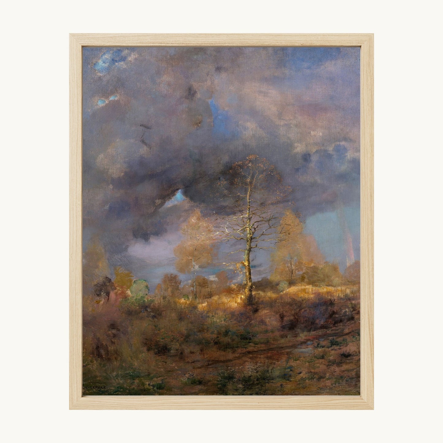 After the Storm