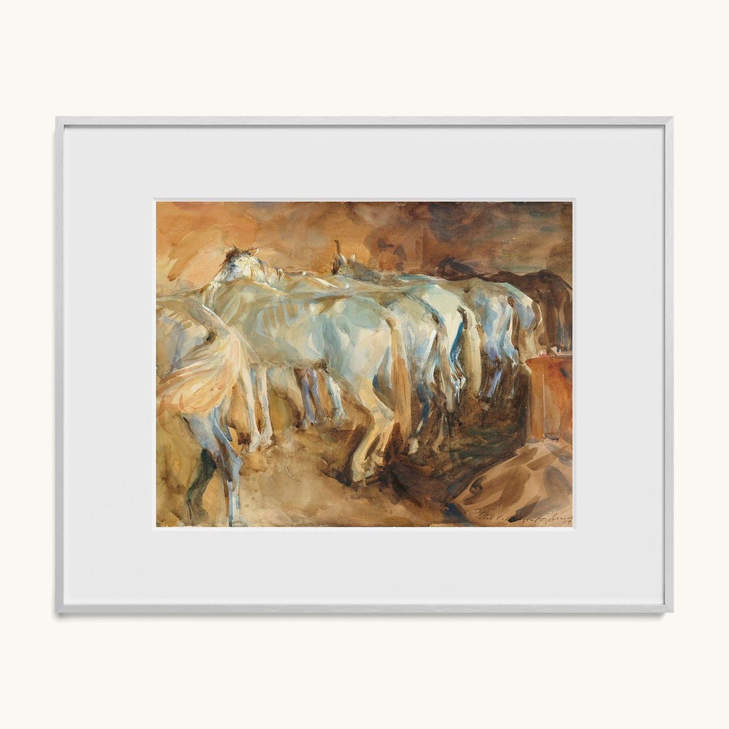 Bus Horses in Jerusalem