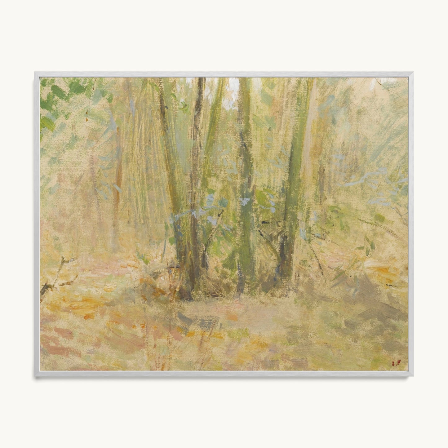 Arbres dans la forêt