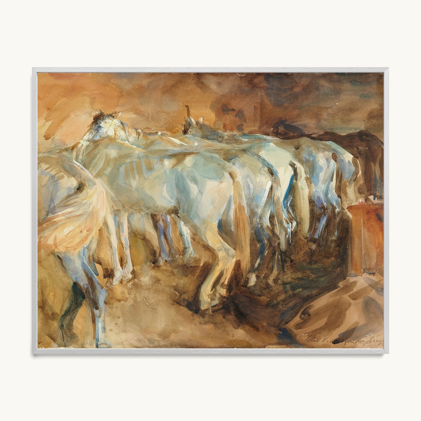 Bus Horses in Jerusalem