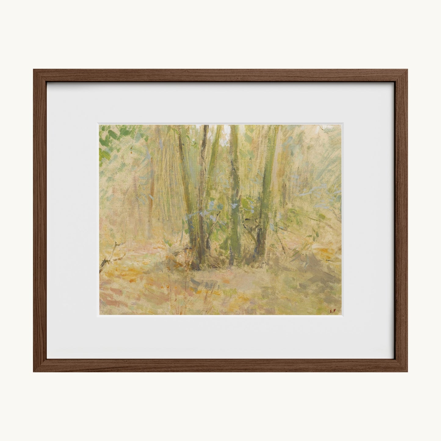 Arbres dans la forêt