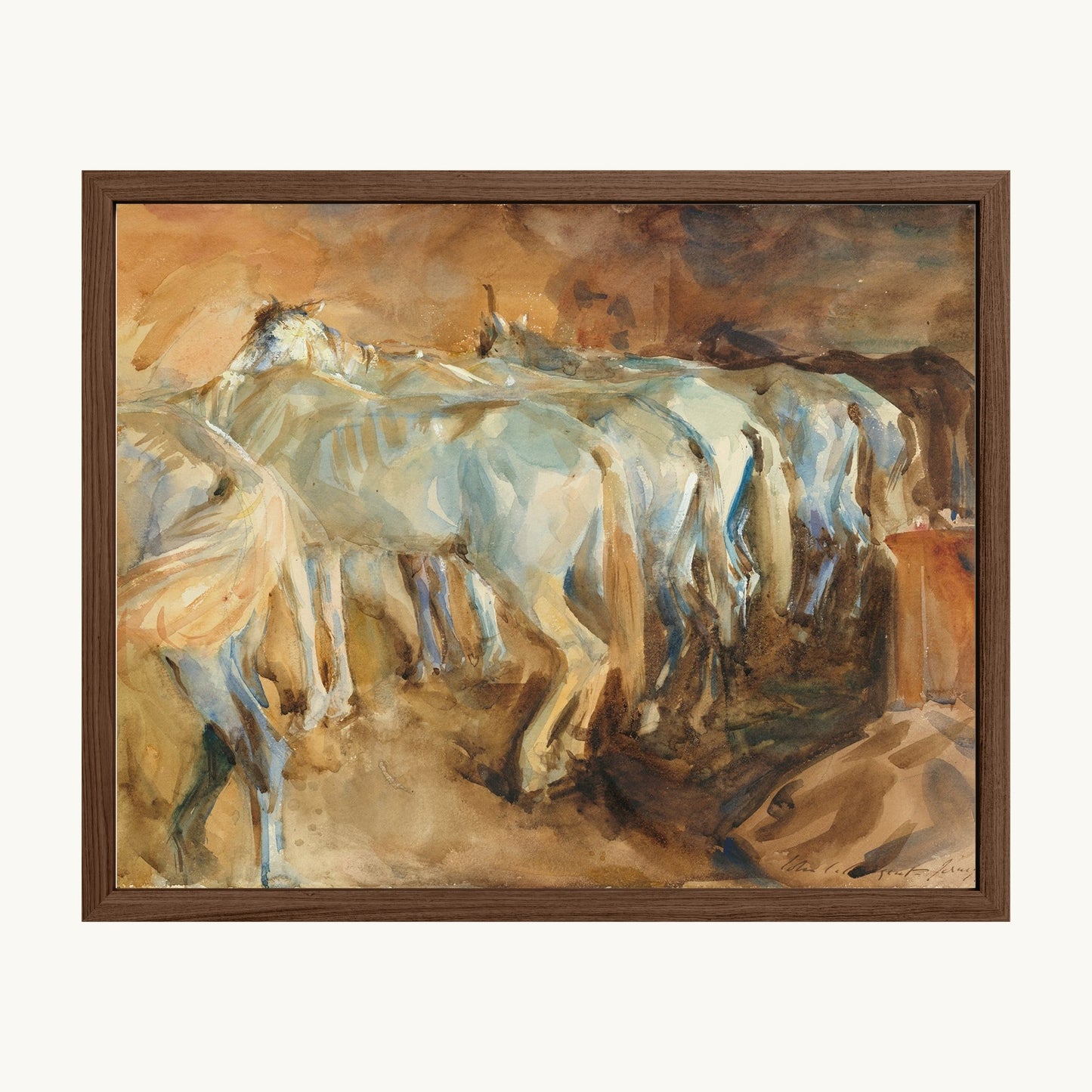 Bus Horses in Jerusalem
