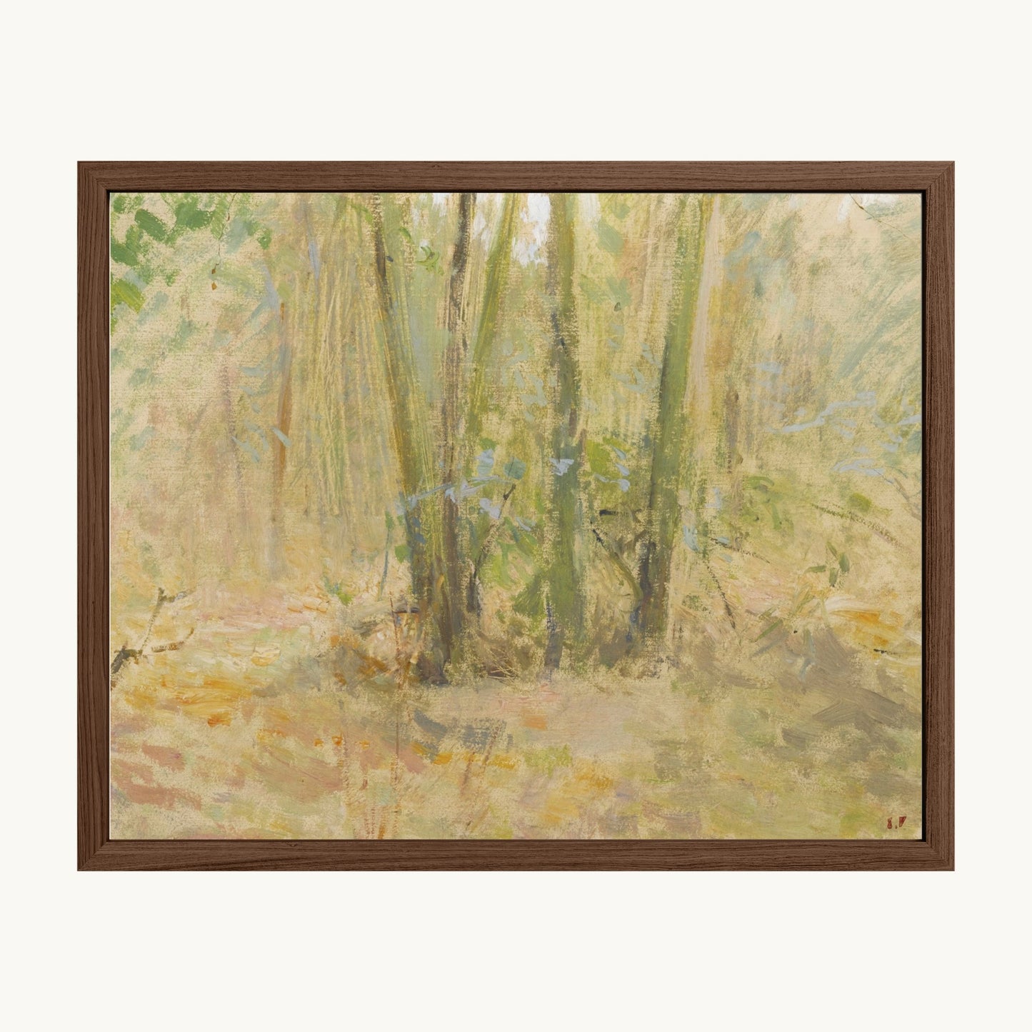 Arbres dans la forêt