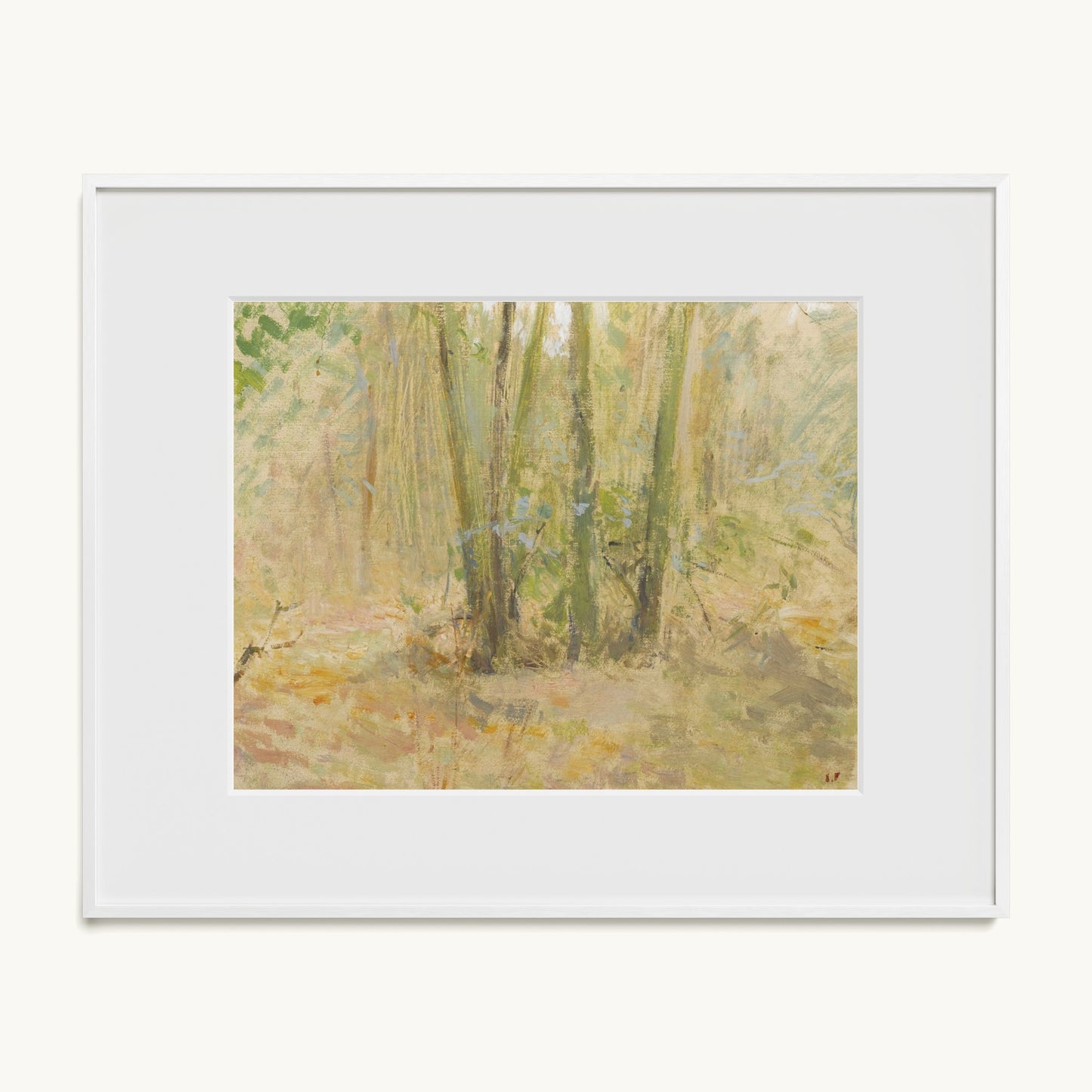 Arbres dans la forêt