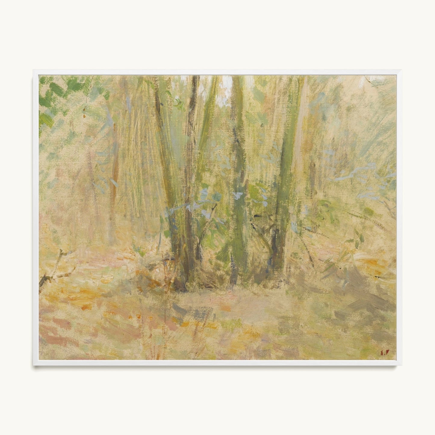 Arbres dans la forêt
