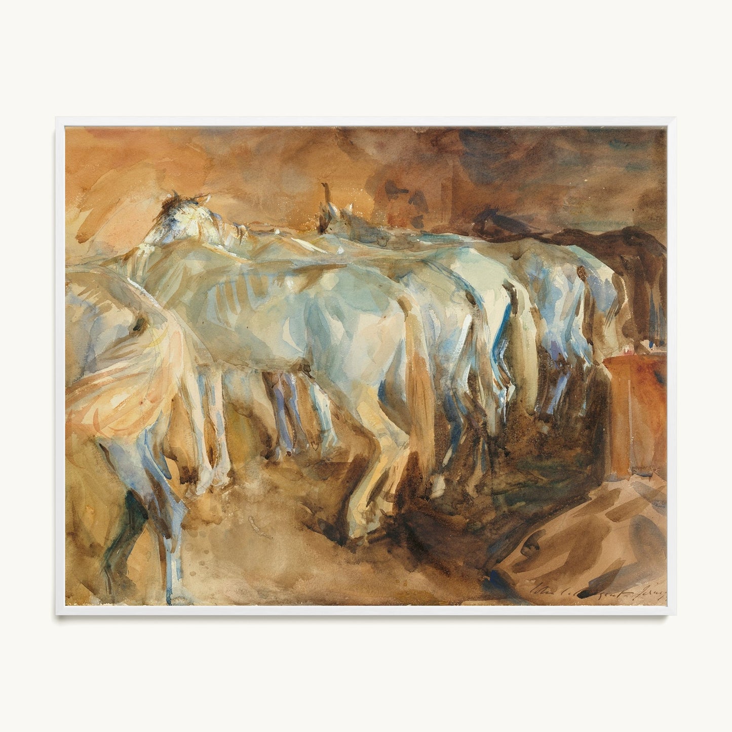 Bus Horses in Jerusalem