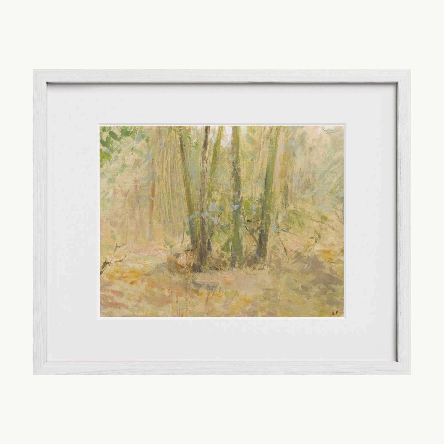 Arbres dans la forêt
