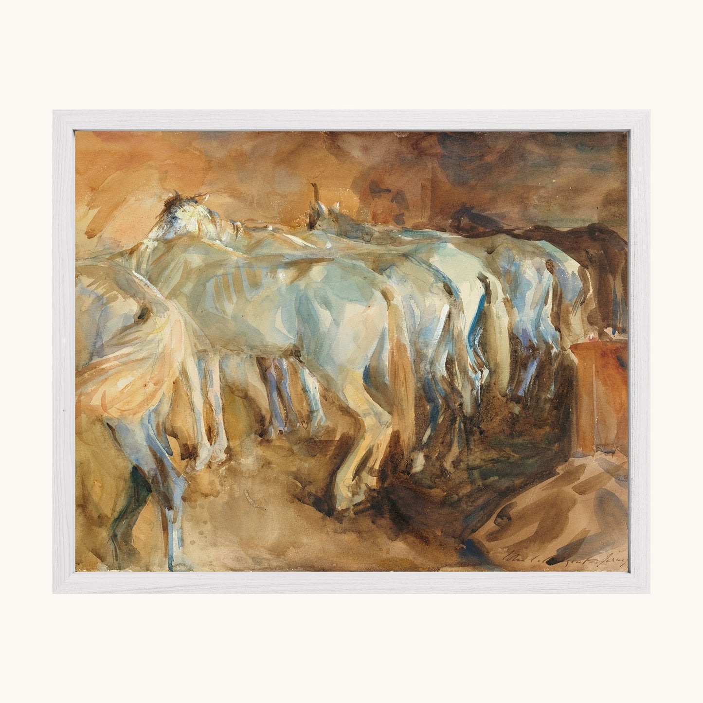 Bus Horses in Jerusalem