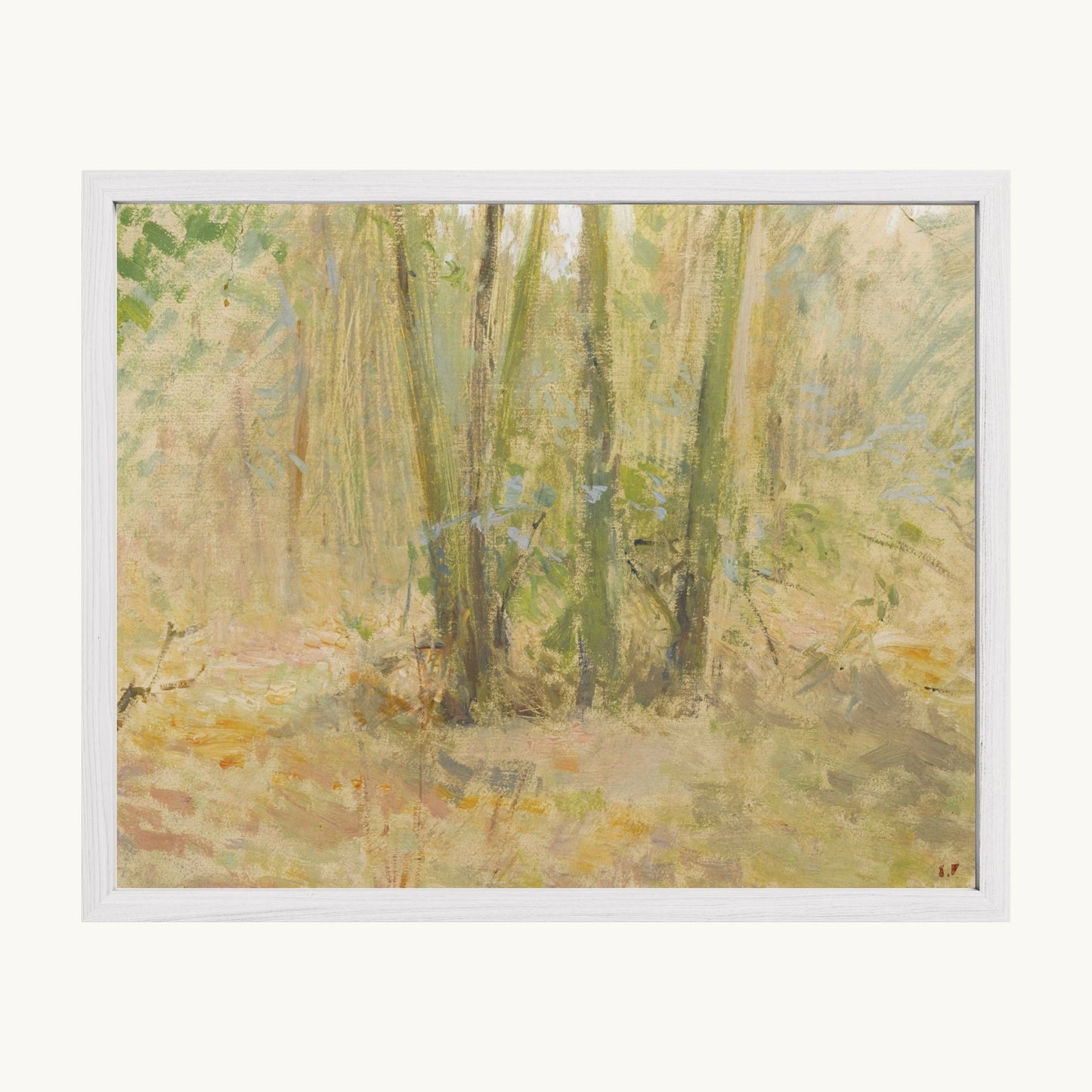 Arbres dans la forêt