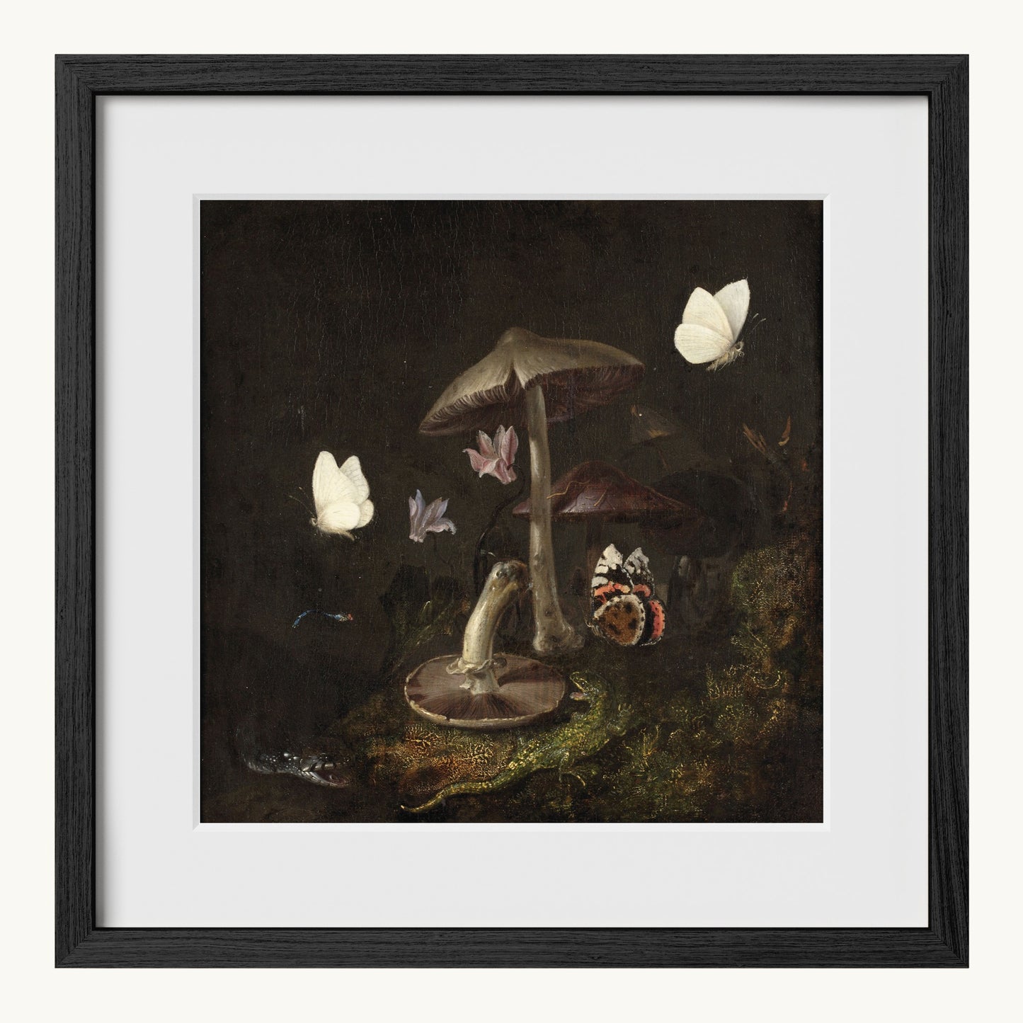A Sottobosco with Mushrooms, Butterflies, a Dragonfly, a Snake and a Lizard